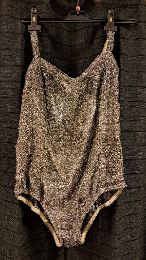 Zilver glitter body
