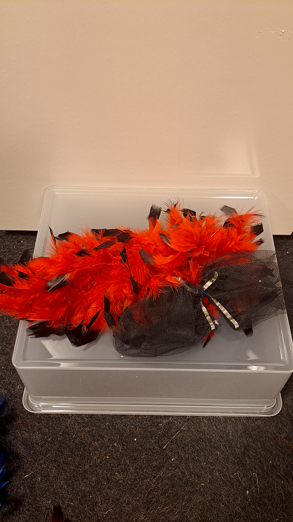 Haarclip met rode veren