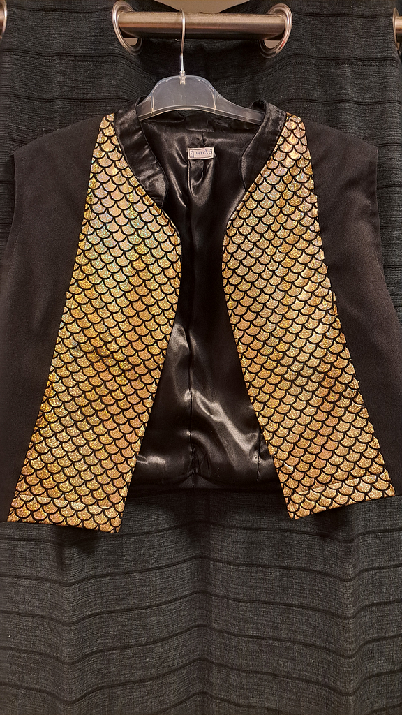 Gilet goud schubben