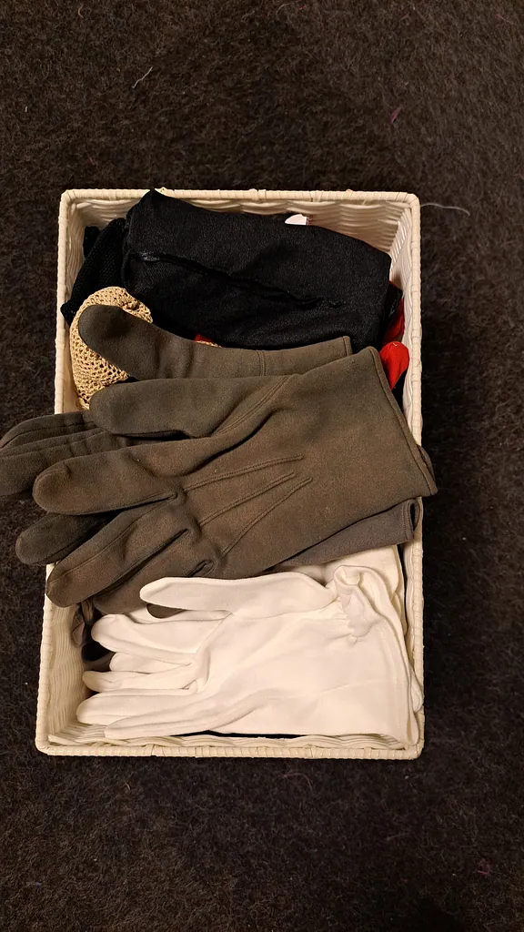 Handschoenen 