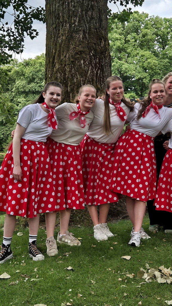 Rode rok petticoat witte stip, foto 2 van 2