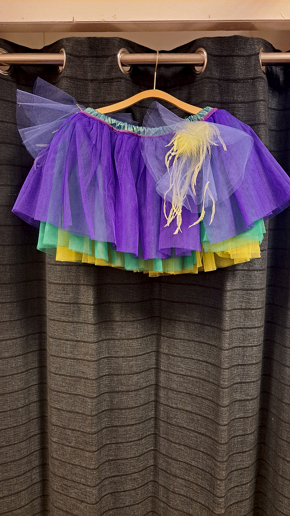3 kleuren tule rok, foto 2 van 2